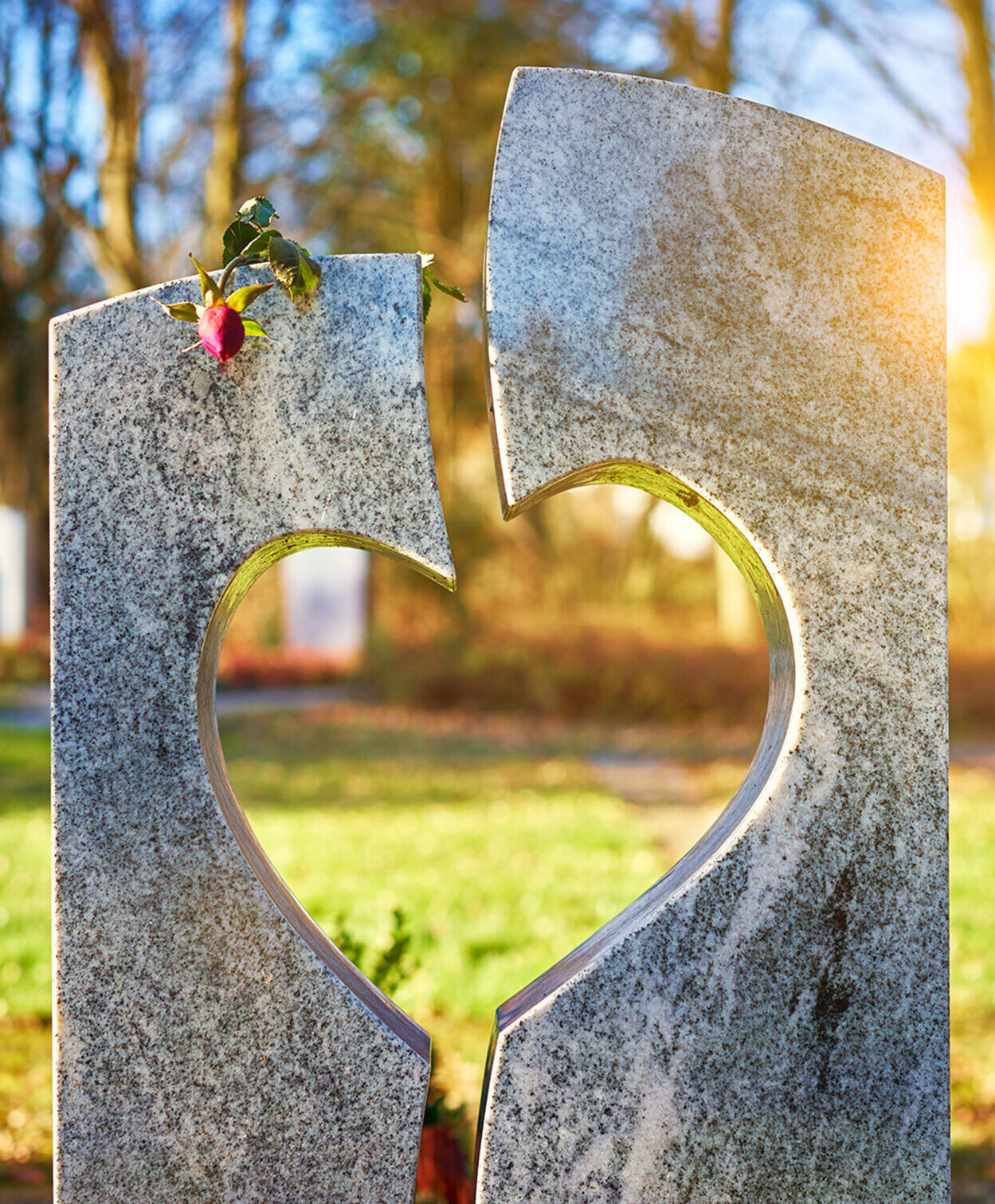 A gravestone with a heart-shaped cutout, with a red rose balanced on top