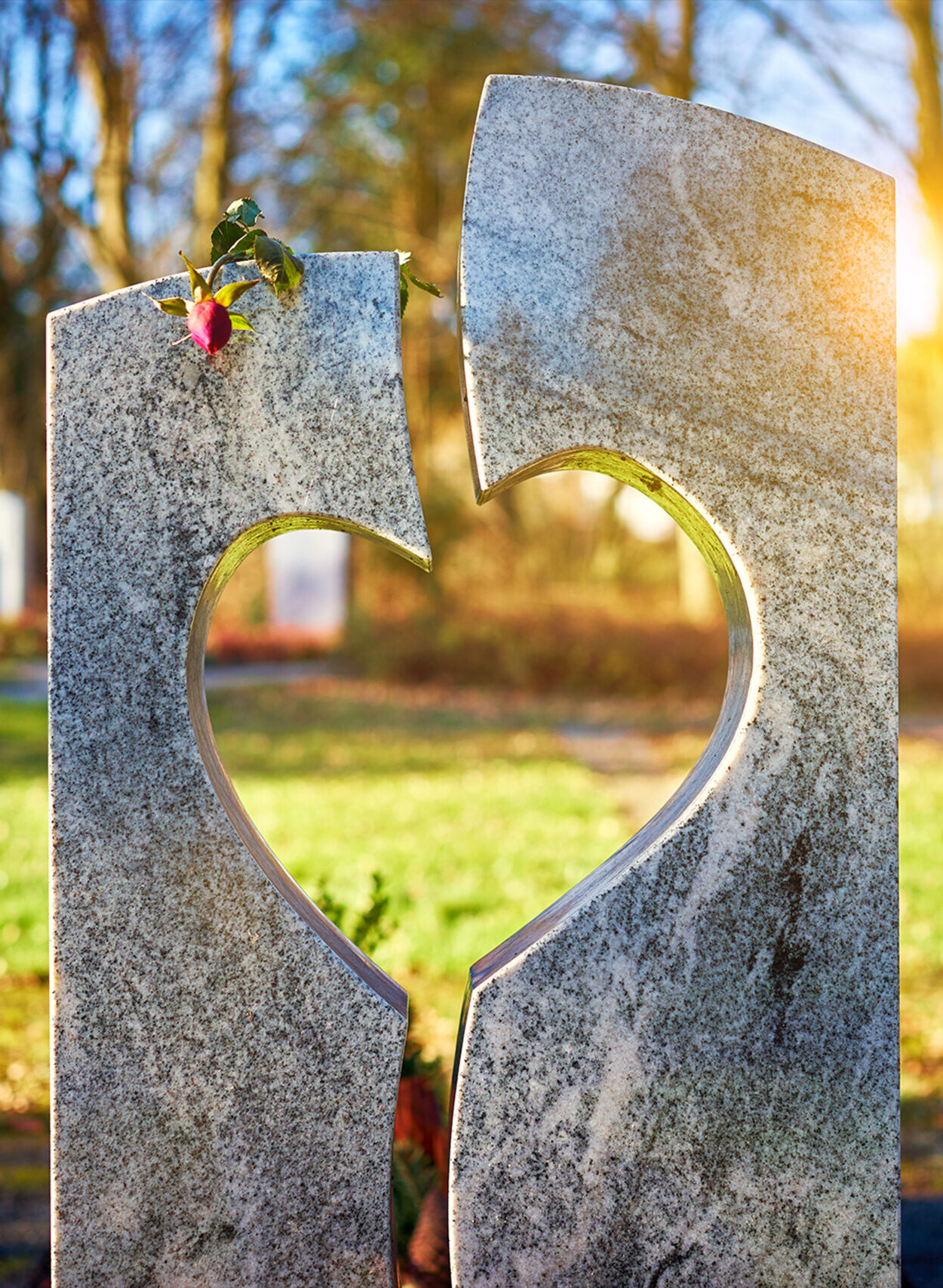 A gravestone with a heart-shaped cutout with a red rose balanced on top